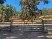 12431 ELK MOUNTAIN UPPER LAKE, CA 95485