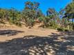12431 ELK MOUNTAIN UPPER LAKE, CA 95485