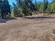 12431 ELK MOUNTAIN UPPER LAKE, CA 95485
