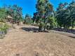 12431 ELK MOUNTAIN UPPER LAKE, CA 95485