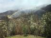 12431 ELK MOUNTAIN UPPER LAKE, CA 95485