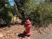 8100 SODA BAY ROAD KELSEYVILLE, CA 95451