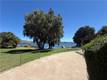 8100 SODA BAY ROAD KELSEYVILLE, CA 95451