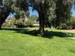 8100 SODA BAY ROAD KELSEYVILLE, CA 95451