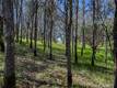 1001 LOUIS WAY LAKEPORT, CA 95453