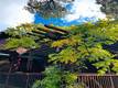 1001 LOUIS WAY LAKEPORT, CA 95453