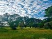 1001 LOUIS WAY LAKEPORT, CA 95453